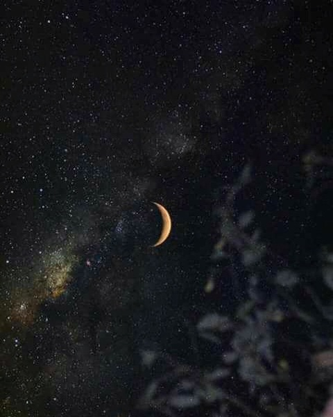 Cara🌙 @caramoon cover picture