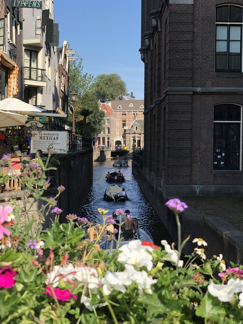 Jus @carlow cover picture