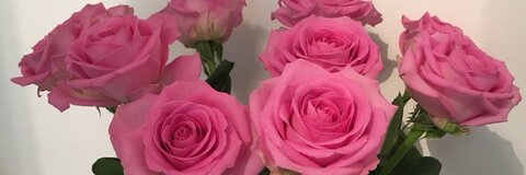 caroline @carolineeescott cover picture