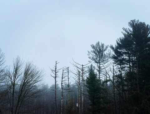 Carson Knightly @carsonknightly cover picture