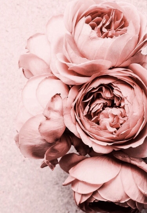 Casey @caseycape cover picture