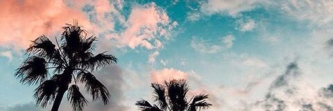 Cass 🥰🌊 @cassidymandell cover picture