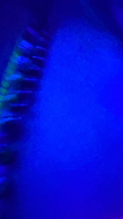 Cassidy Rae @cassyraee cover picture