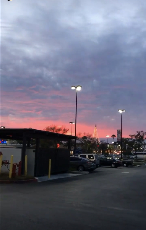 Cat @catalyctic cover picture