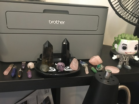 Kitten @catboy62 cover picture