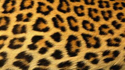 Cat💖 @cathynugget cover picture