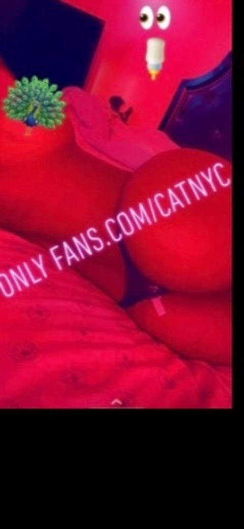 CatKat @catnyc cover picture