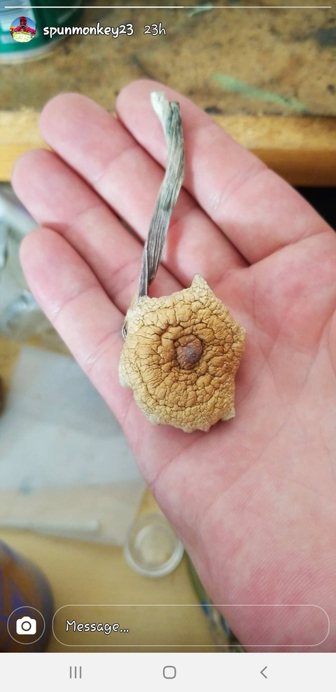 Evan @cavediddy23 cover picture