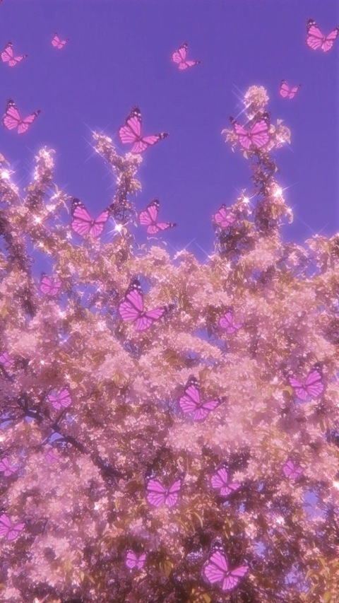 cdollasignnnn @cdollasignnnn cover picture