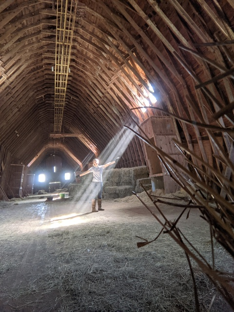 Cedelia Obenshain @cedelia cover picture