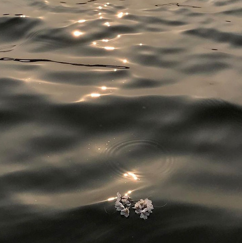 Marina @cherry16 cover picture