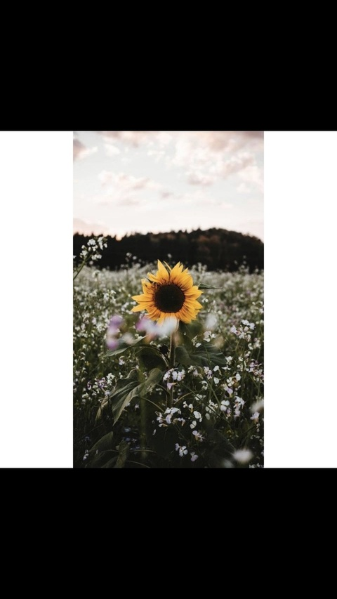 Cayenne Pepper @chey_lala cover picture