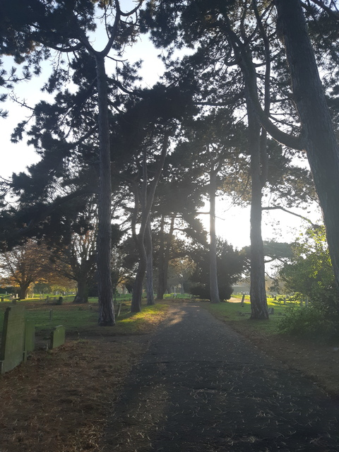 Chloe @chloeviolet cover picture