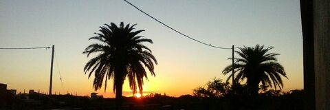 Bella @chofi cover picture