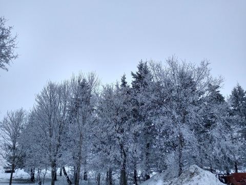 Cillababee @cillababees cover picture