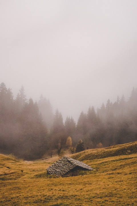 Cinderella @cinderkitten cover picture