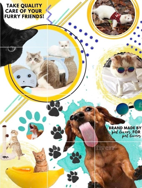 Cintia bello @cintiabello cover picture