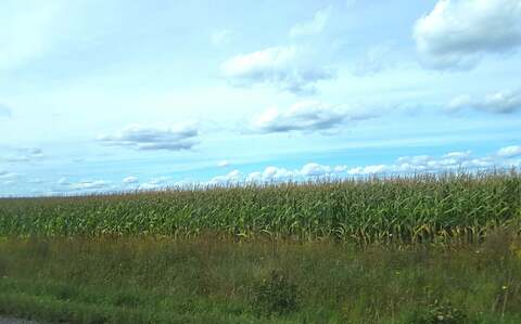 Kira Burn Coaching Program @coaching cover picture