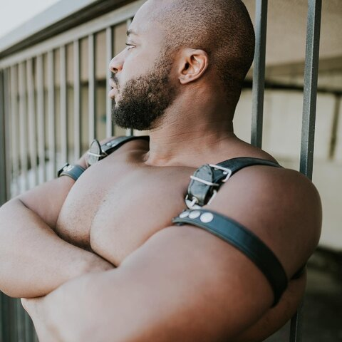 CocoaMuscle @cocoamuscle cover picture