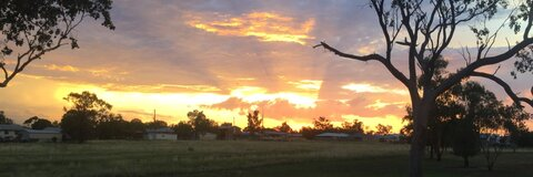 Colt Daly @coltyy cover picture