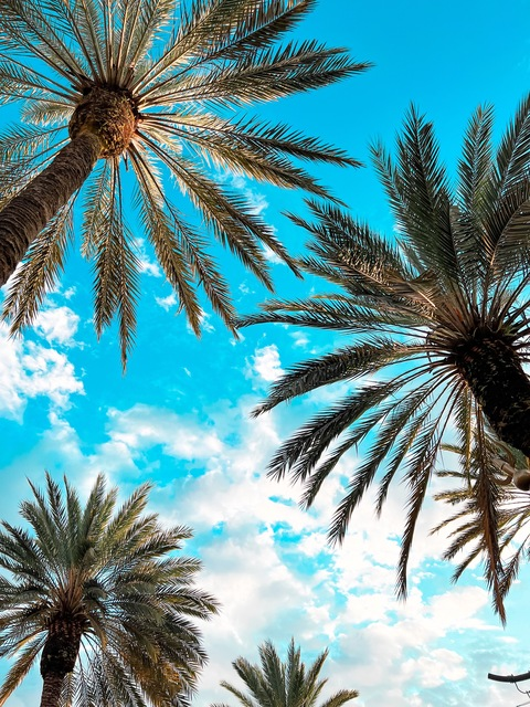 Mister P @coolpat84 cover picture