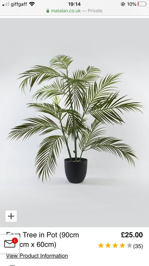 CourtJade @courtneyjade cover picture