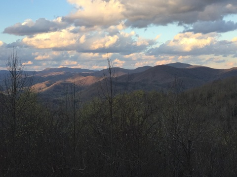 That Ginger @crazyassginger cover picture