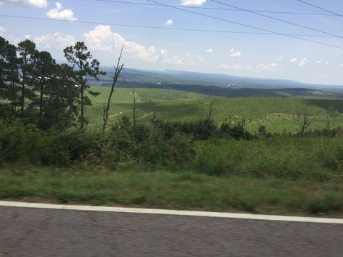 Crimson @crimsonrose cover picture