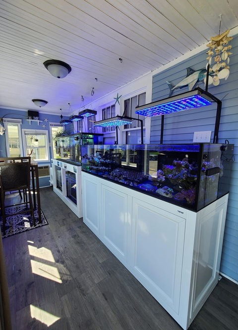 Crystal Boeve @crystallized22 cover picture