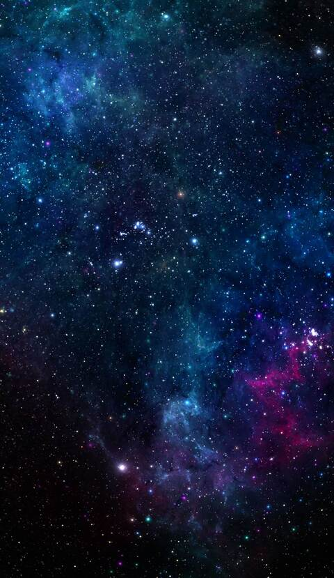 Curly Thiccness @curlyfries cover picture