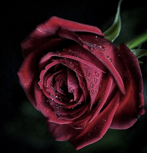 Georjette Riley @curlygirl94 cover picture