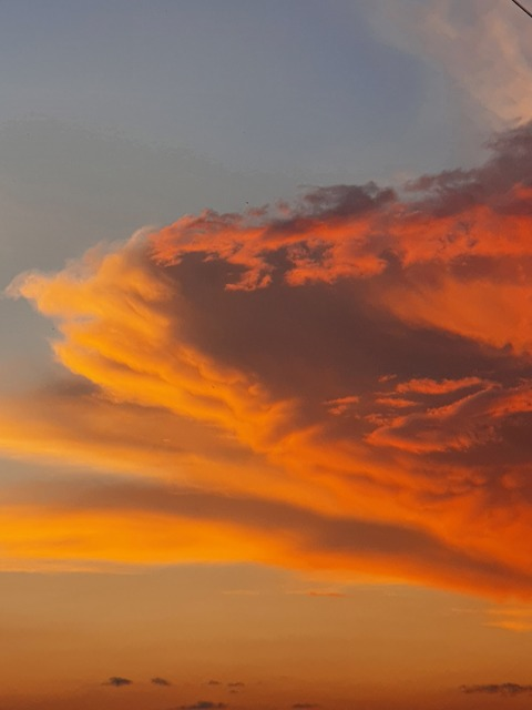 Cutesister @cutesister cover picture