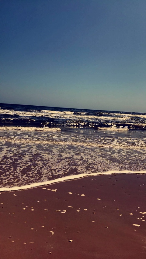 Cynthia Taylor @cynthiaa cover picture