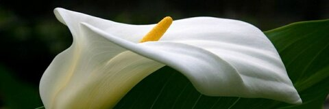 Cyprus @cyprus cover picture