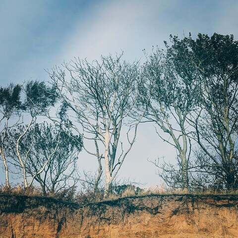 Essex living @d975d68bae1b4ef cover picture