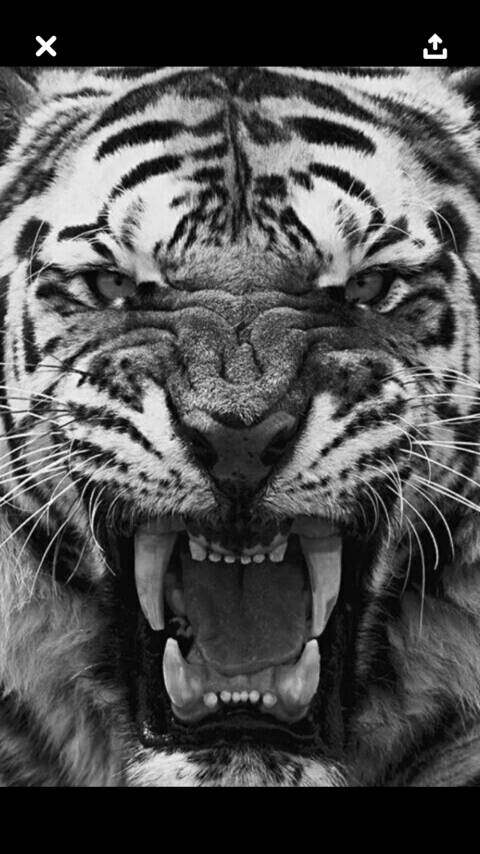 Josh @dadbod cover picture