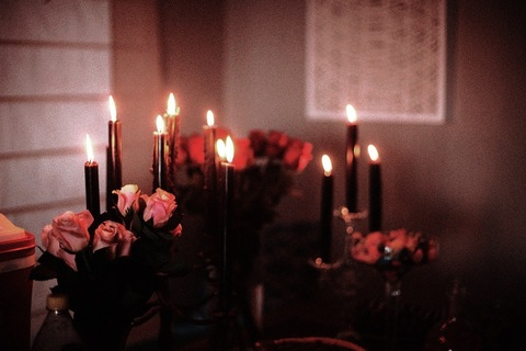 Dahlia Vonn @dahliavonn cover picture