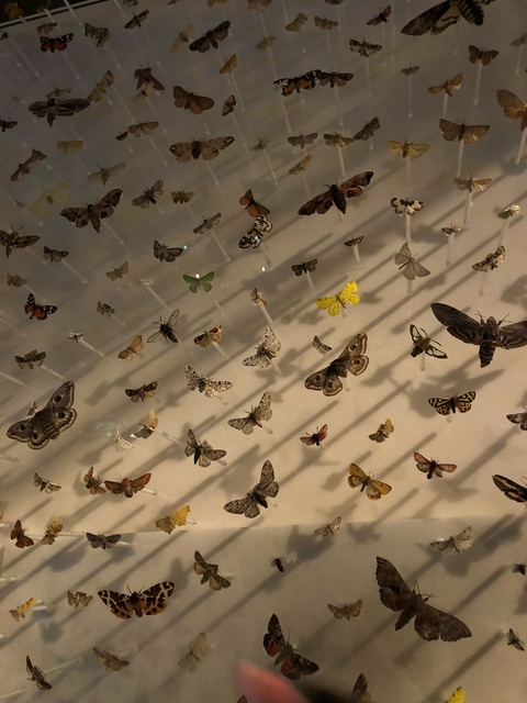 daisy 🌼 @daisy0reily cover picture