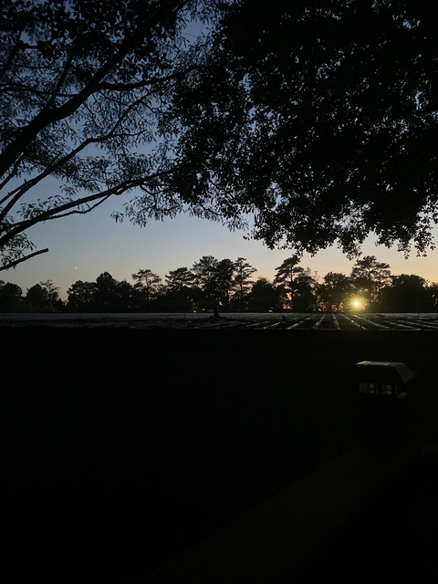 🌼 Daisy 🌼 @daisyfairy cover picture