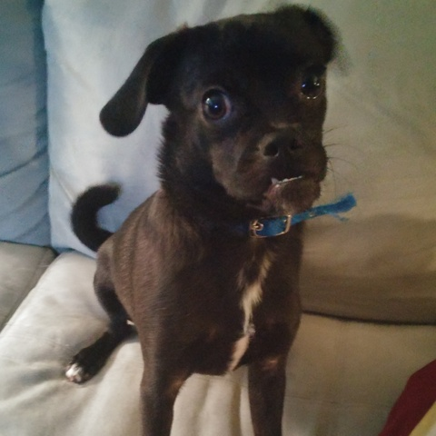 Dallas @dallas cover picture