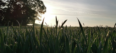 Daniel Mortimore @dan_mortimore cover picture