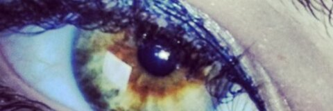 Daniela Aray @danielaar cover picture