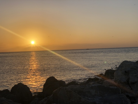 DanielD88 @danield2388 cover picture