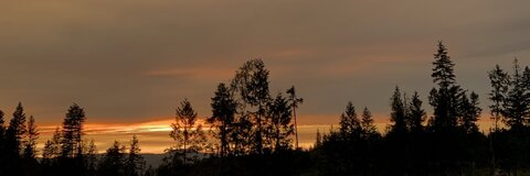 dani @danniiiiiih cover picture