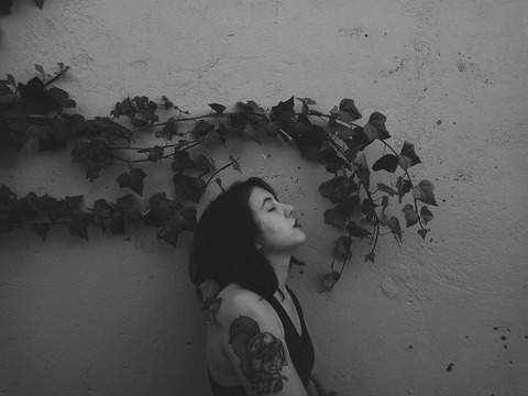 Dashu @dashuka cover picture