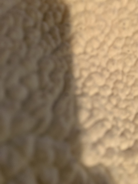 Dat Cat @datcat cover picture