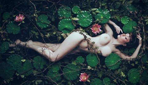 Dedalo @dedalo_of cover picture