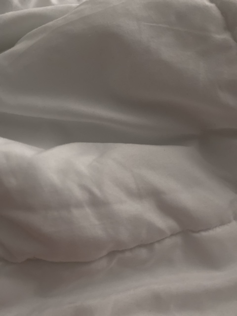 Kinky Cub @delcobiguy cover picture