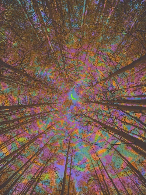 JDC @desiraez cover picture