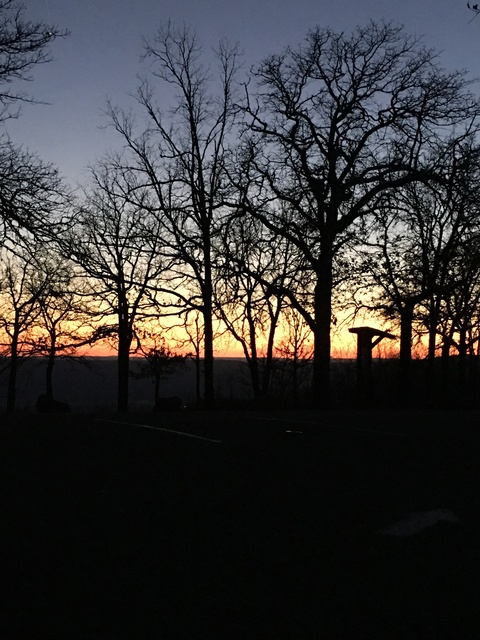 Dessy J @dessyj12 cover picture